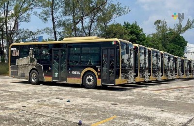Buses ULUA Veracruz