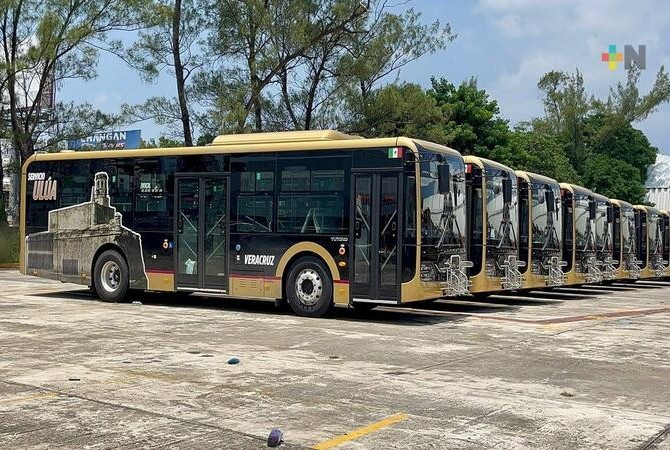 Buses ULUA Veracruz