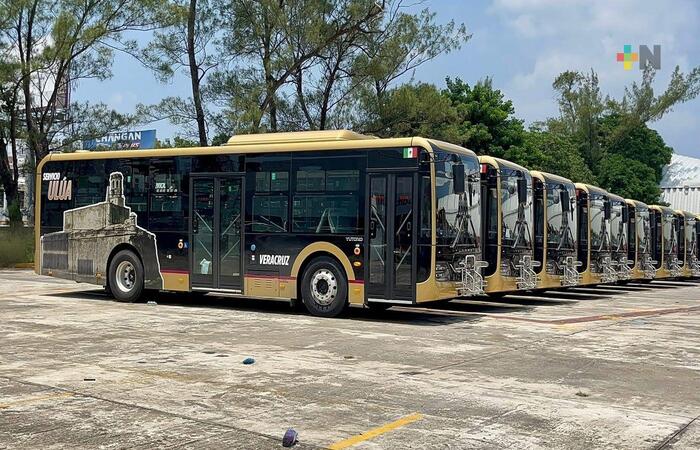Buses ULUA Veracruz
