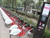 Ecobici (2)