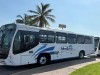 MB Vallarta