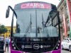 Buses electricos en México