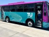 Tiburon urbano