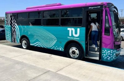 Tiburon urbano