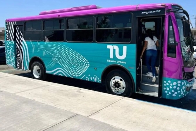 Tiburon urbano