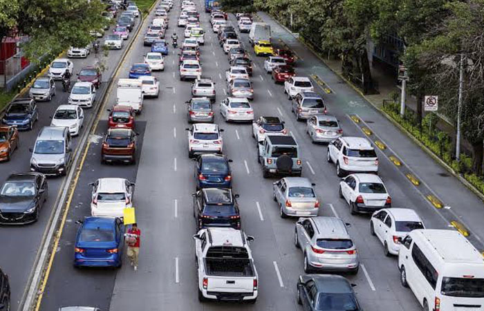 trafico