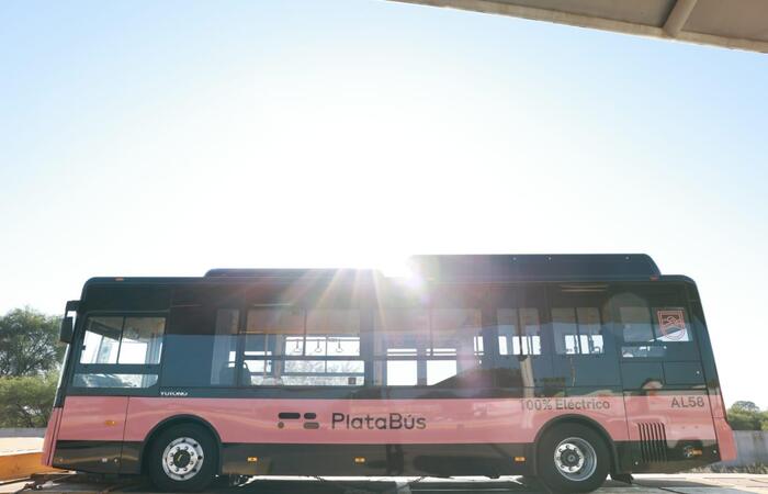 PLATABUS