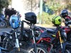 Senado uso de cascos