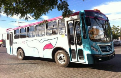 Tiburon Urbano La Paz