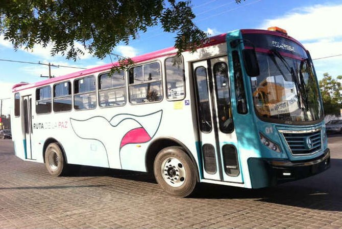 Tiburon Urbano La Paz